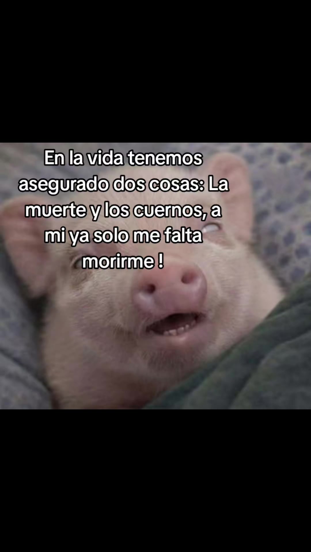@Gabriela SR