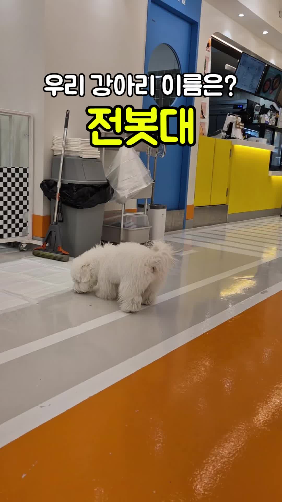 @꼬똥로리