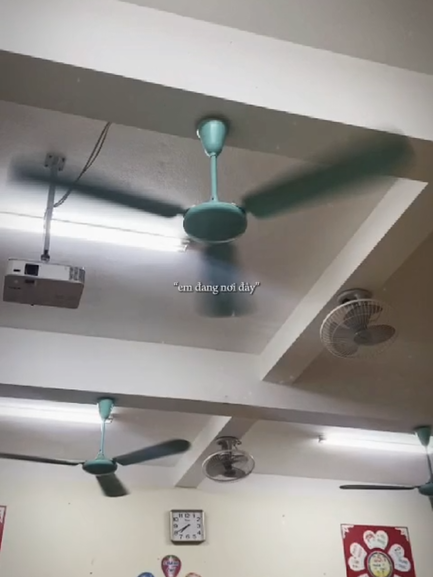 @ceiling fan is vietnam