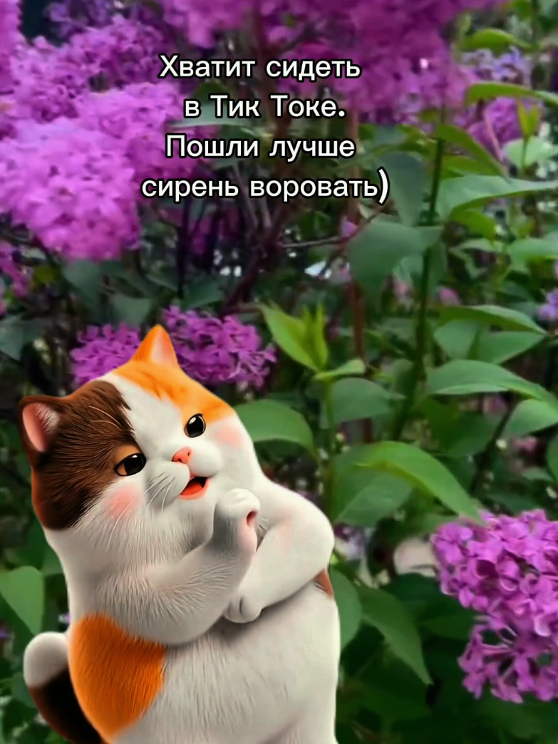 @𝑳𝒚𝒅𝒎𝒊𝒍𝒌𝒂シ︎