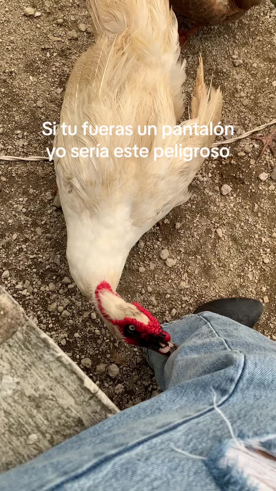 @Janeth Bermúdez