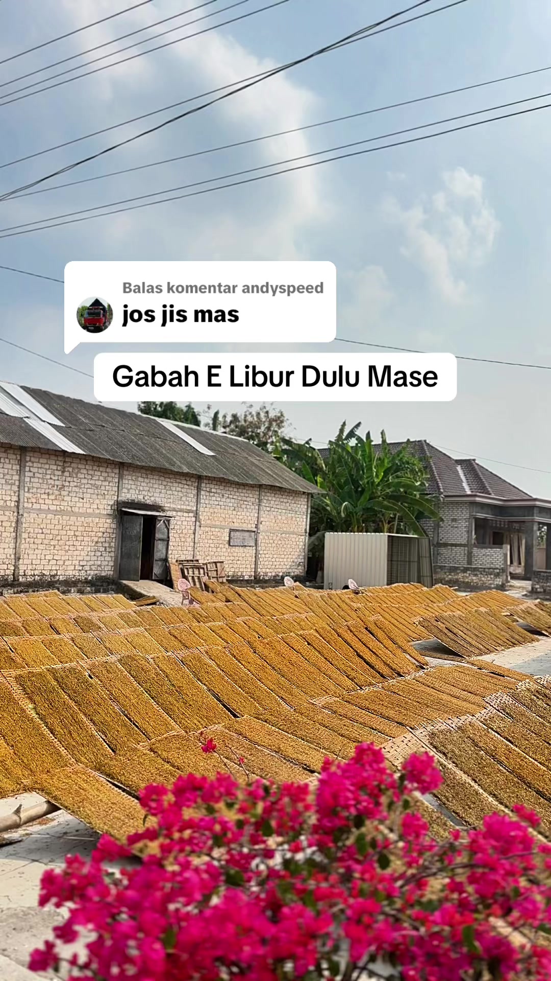 @PemainDalam