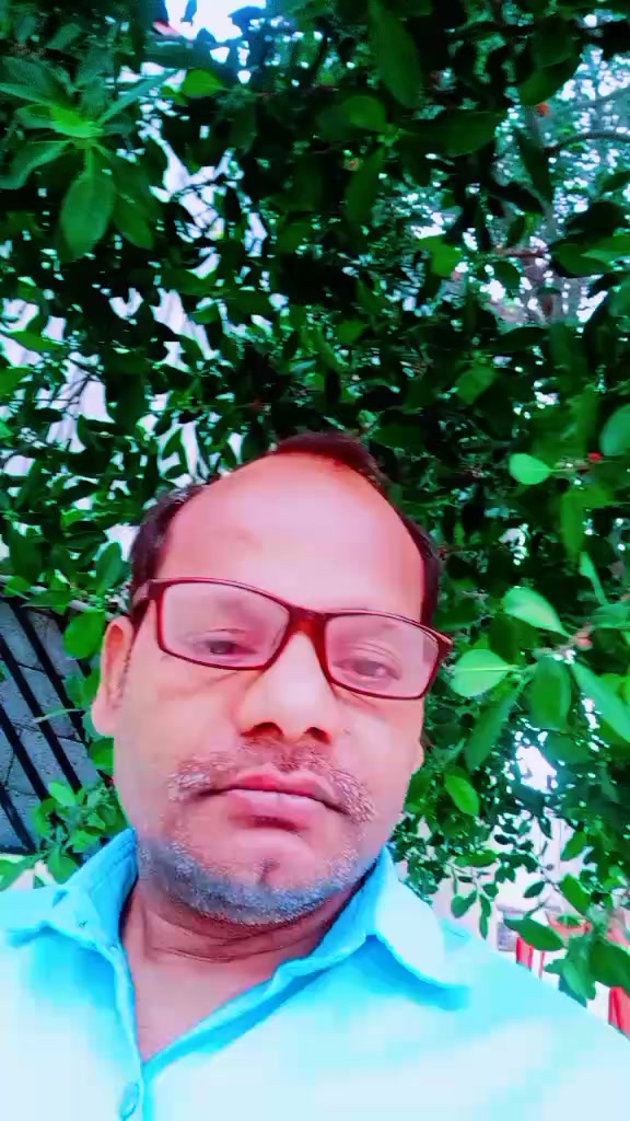 @wakil solu