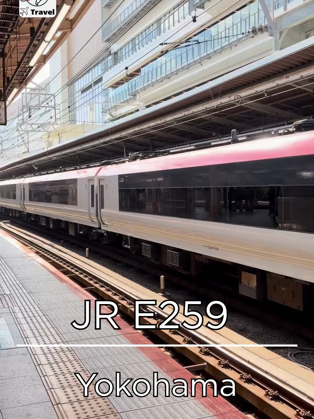 @PREIDICTOR Travel【japan trip】