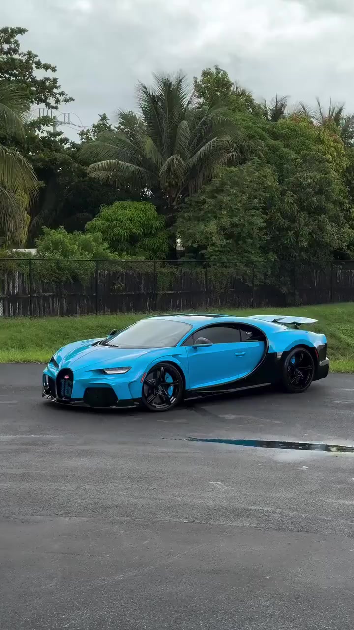 @Cartop Utra 4K