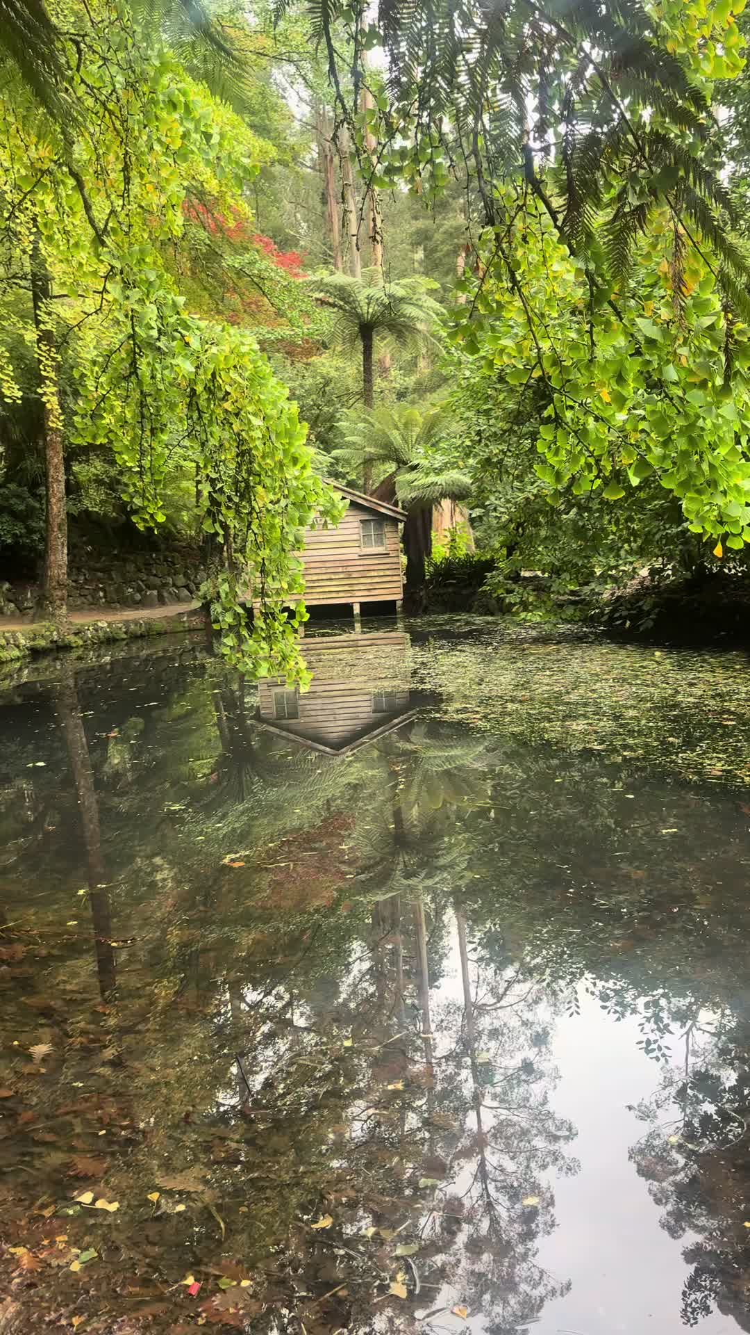 @Tilly by Nature