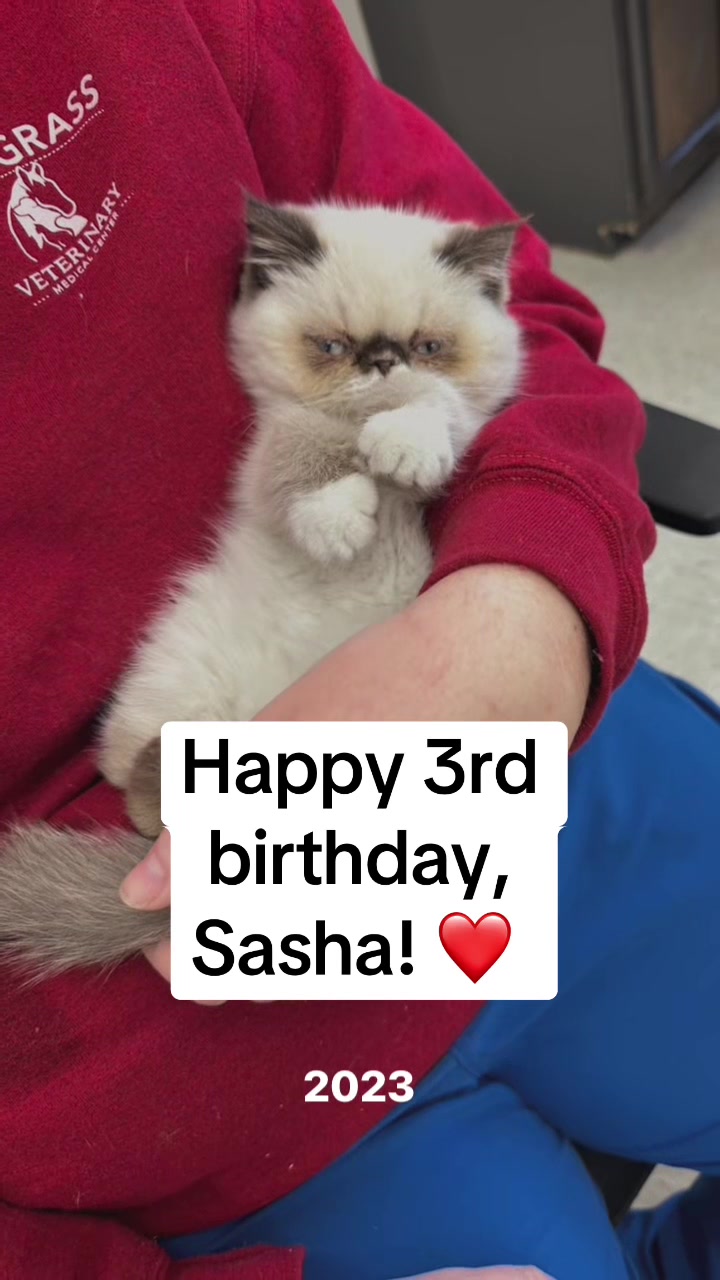 @Snodgrass Vet