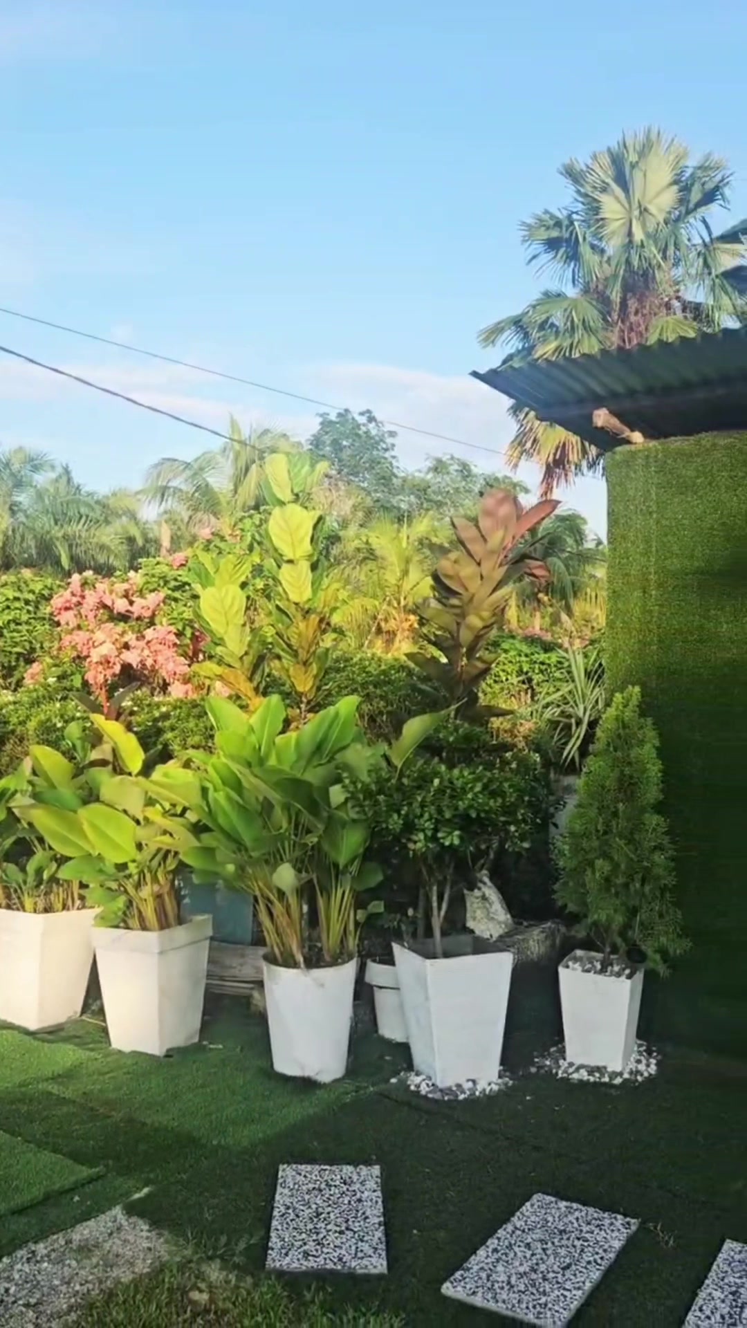 @MZ Landskap Nurseri Benut