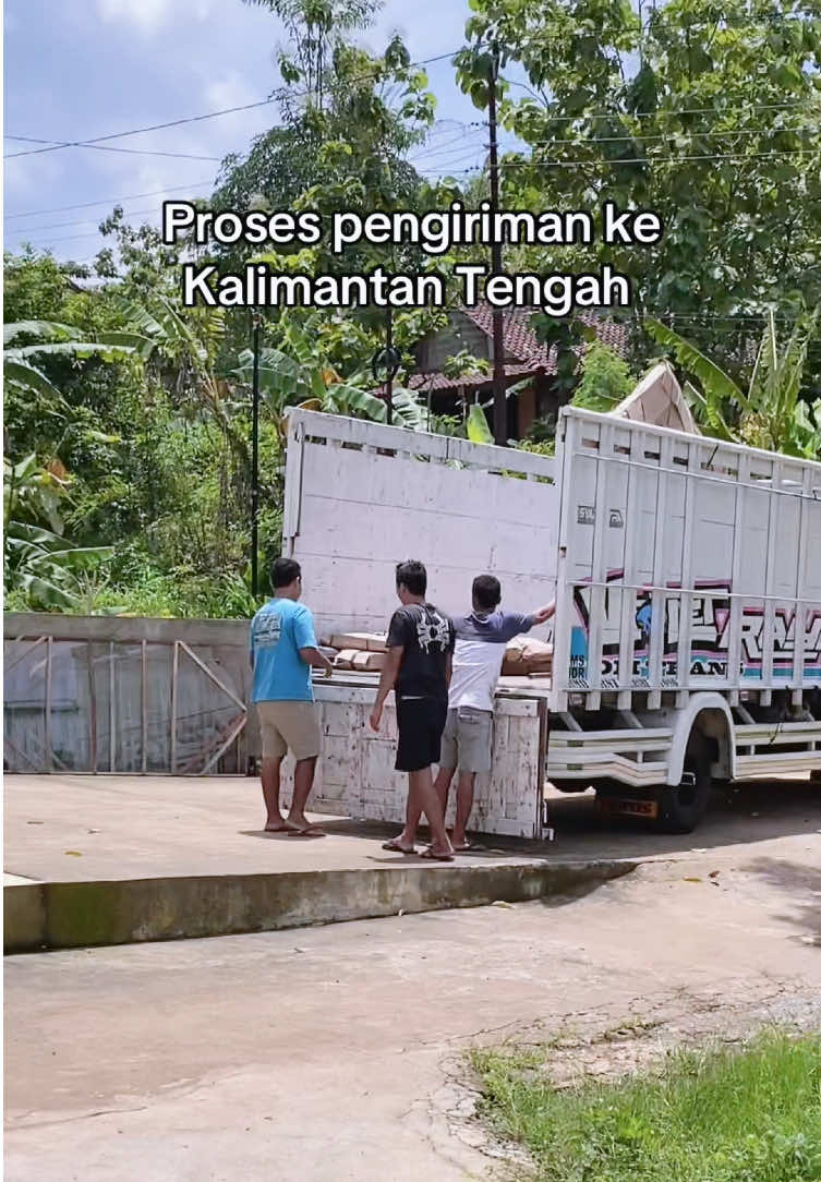 @bio mebel jepara