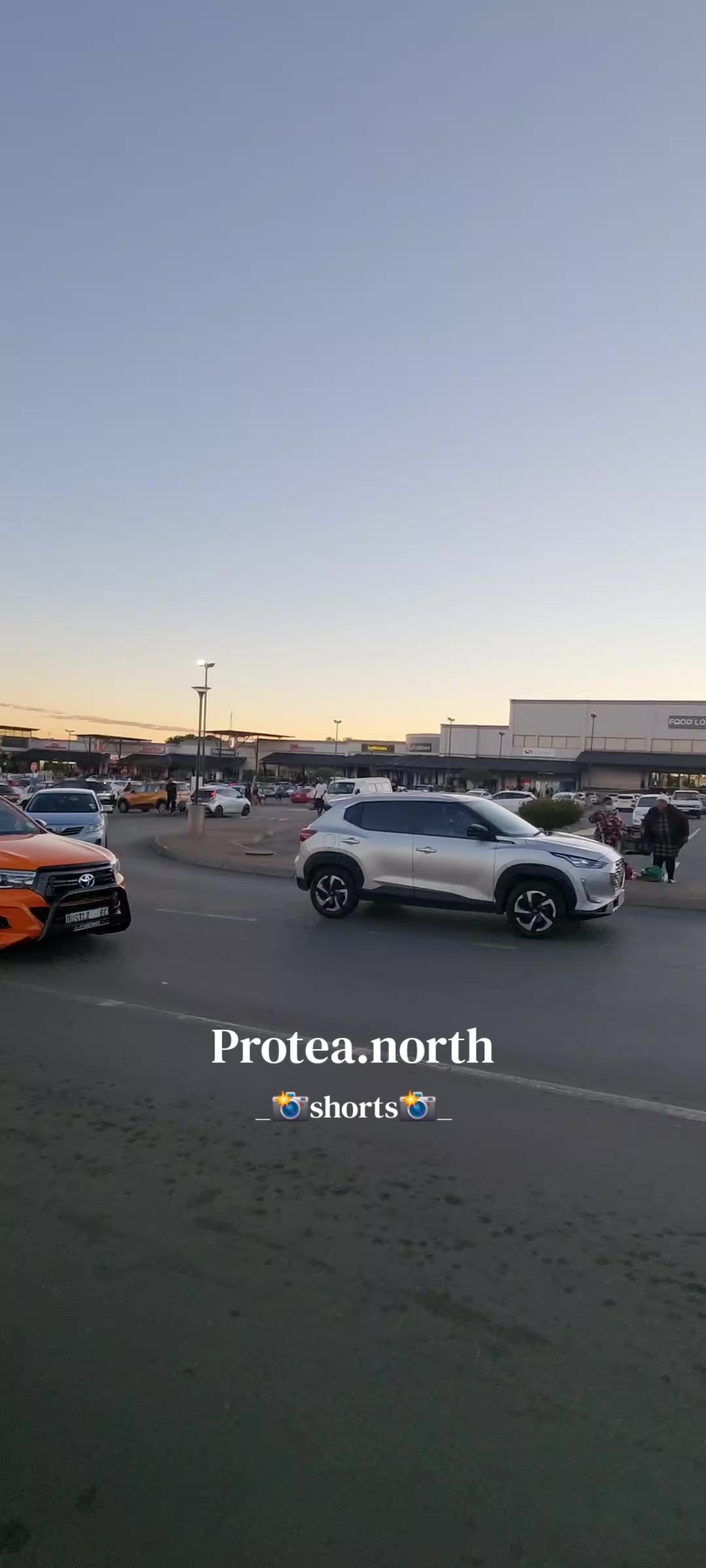 @Protea.north_shorts_