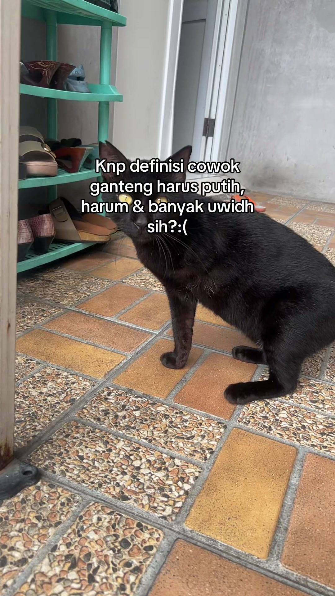 @Haqhaqcatsnfams