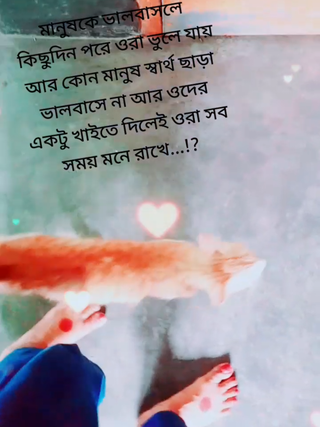 @đđ§ĄđāϏā§āϞāϤāĻžāύ āĻāĻā§āϤāĻžāϰ đđđ§Ą