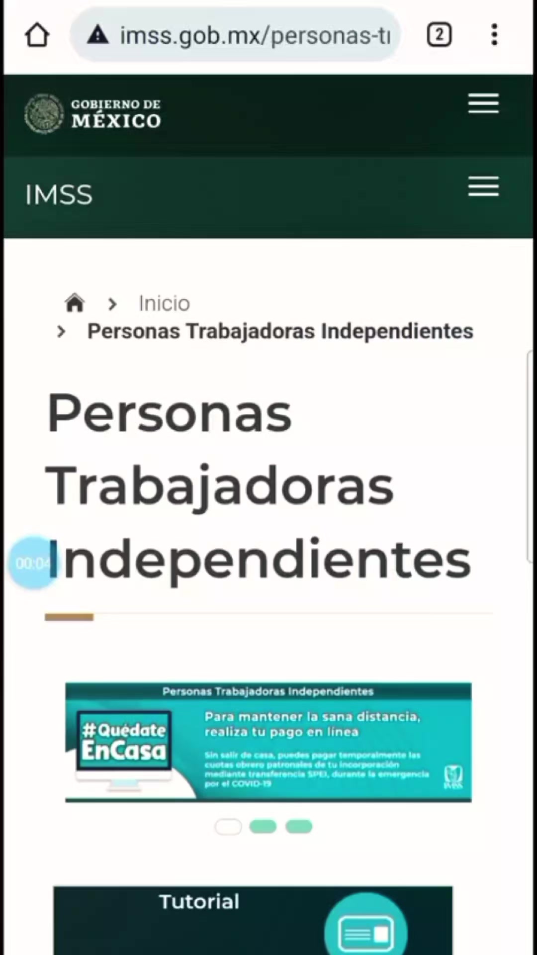 @CESAR SALDIVAR ASESOR