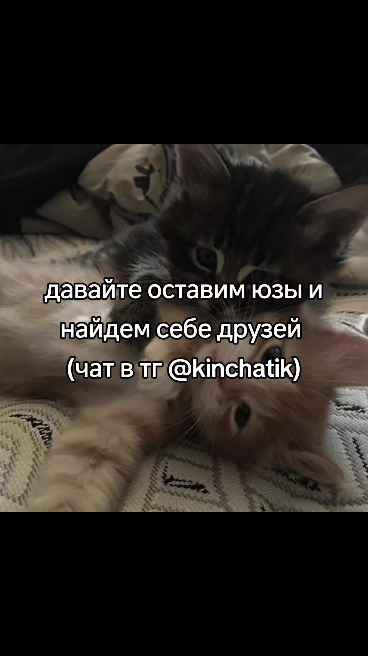 @cqtagger