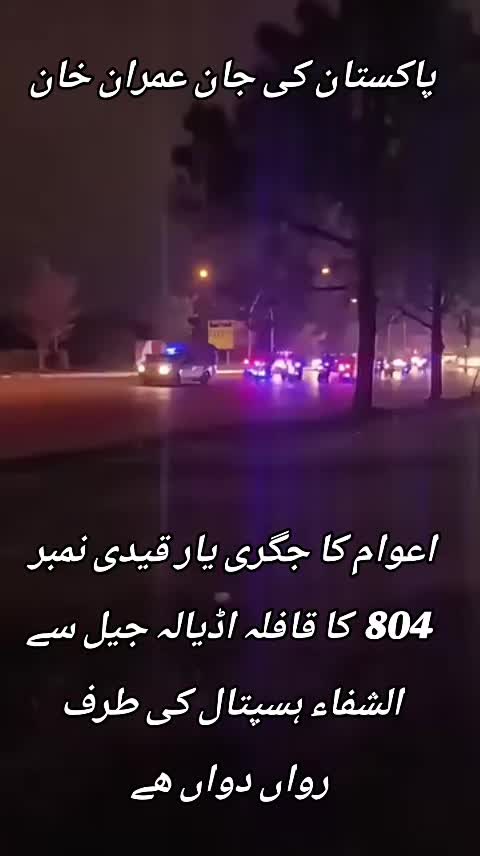 @اڈیالہ 804