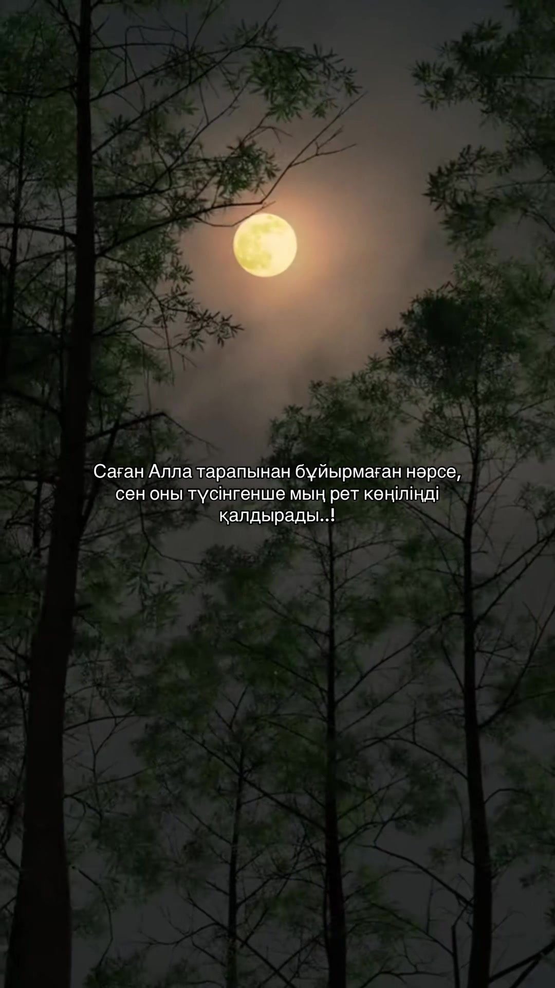 @zeroo_0011