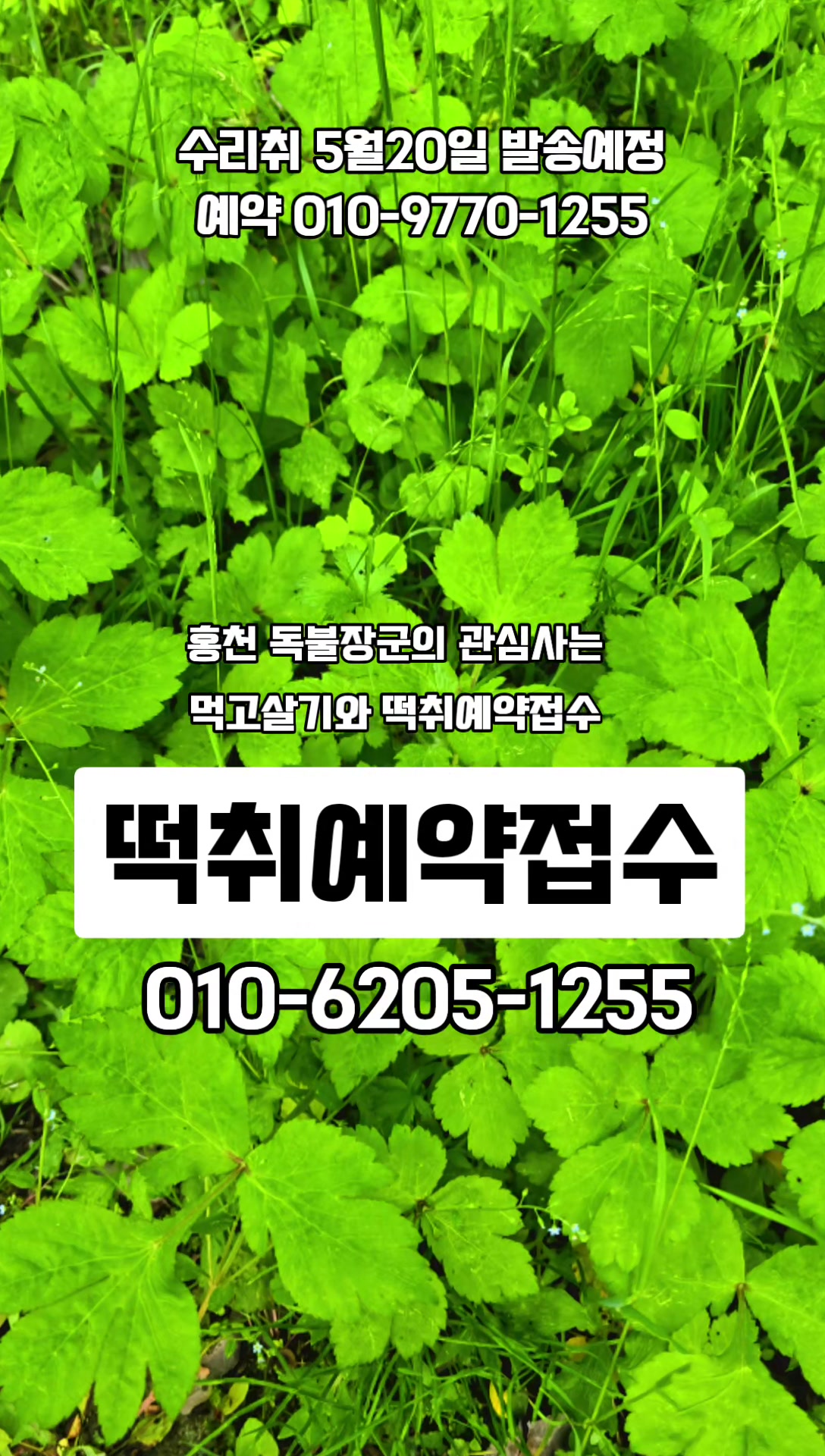 @🔥고물급남자