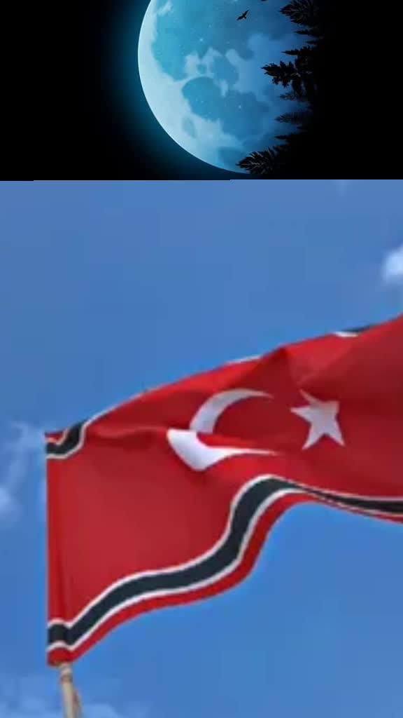 @🎬