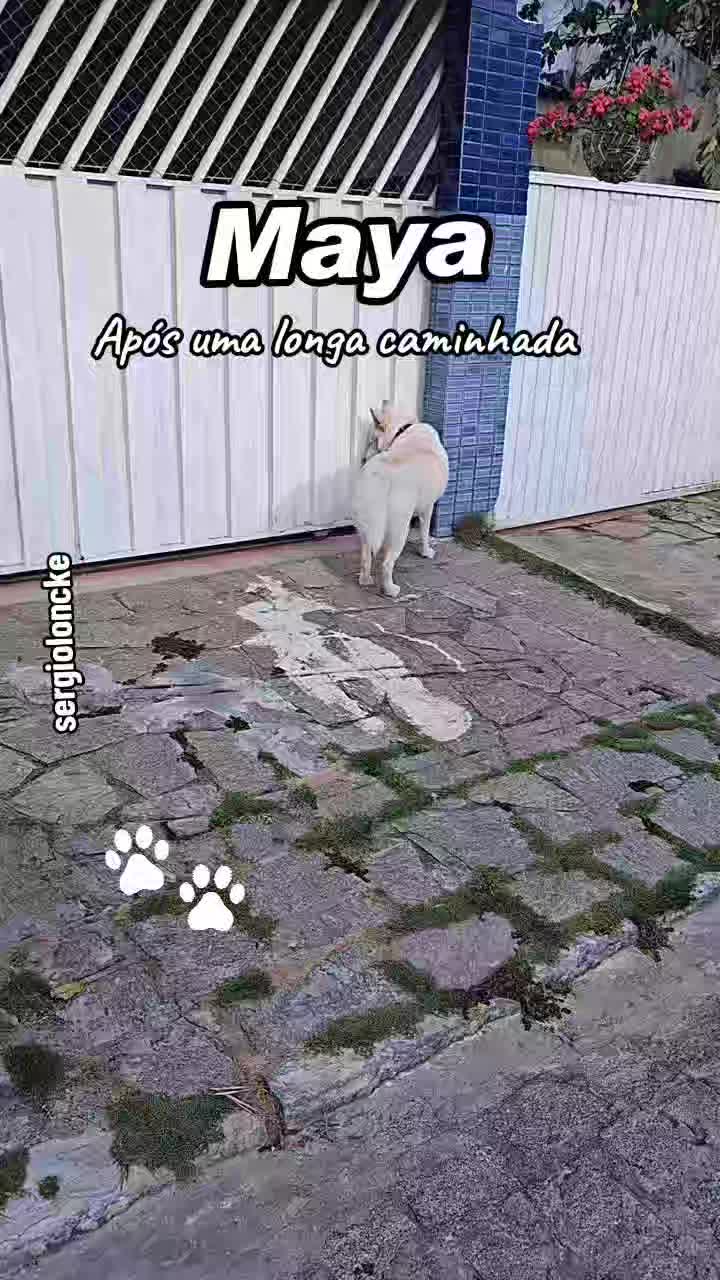 @Sérgio Loncke-PalavrasDoEterno