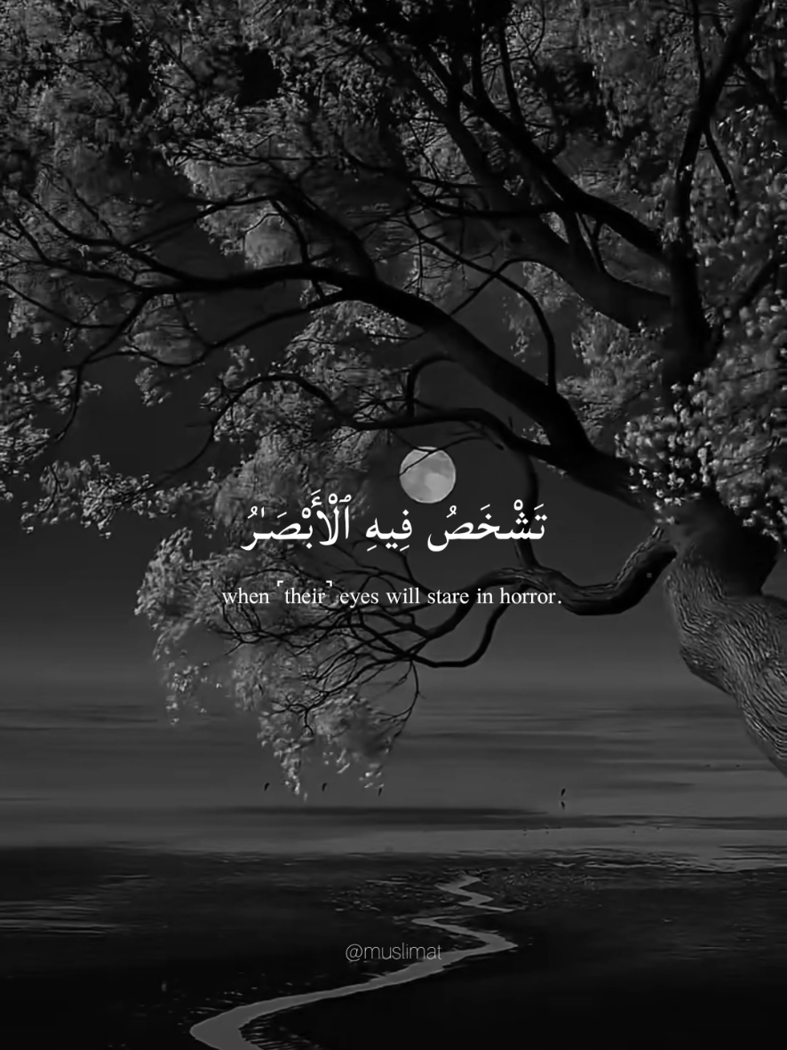 @Muslimat | مسلمة