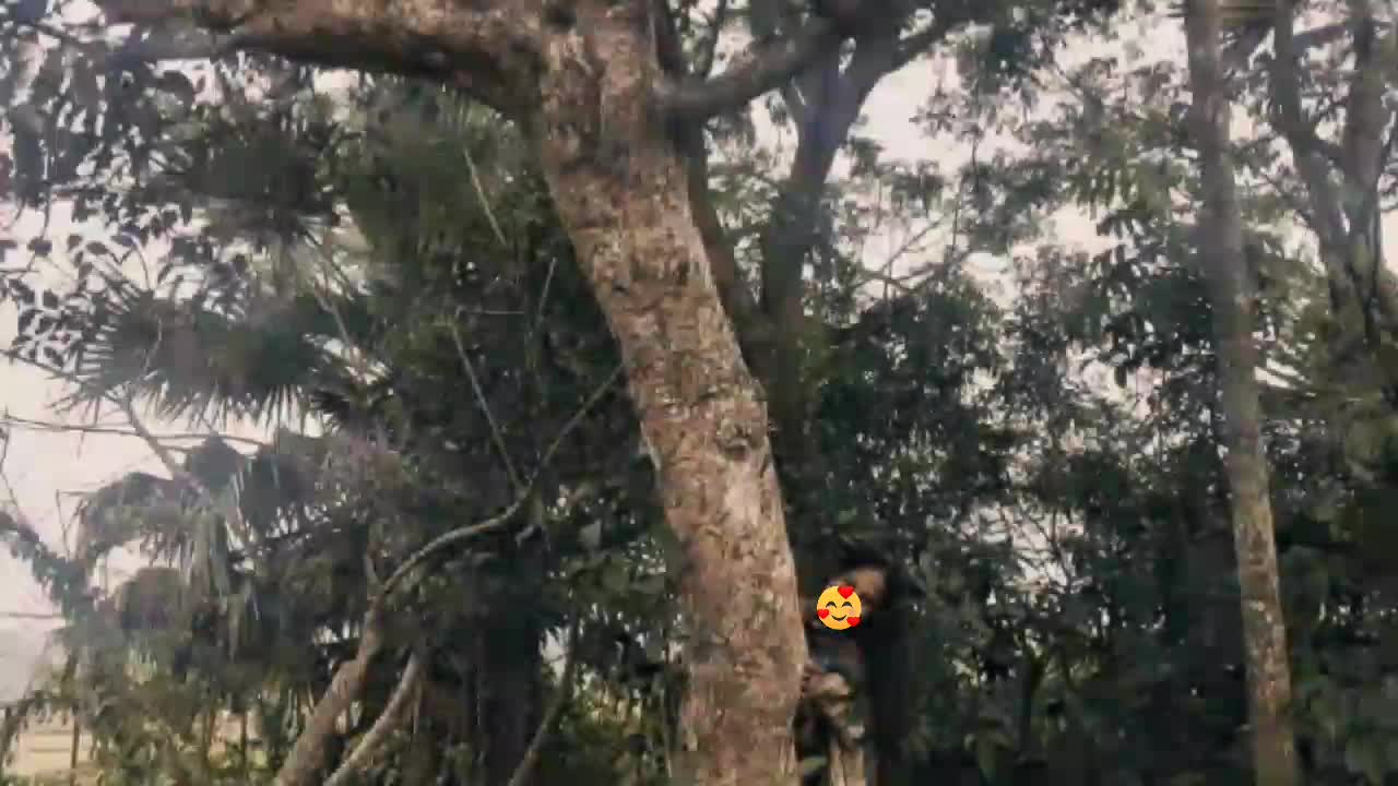 @🐼 𝕋𝕒𝕟𝕦 🕷️ 💫