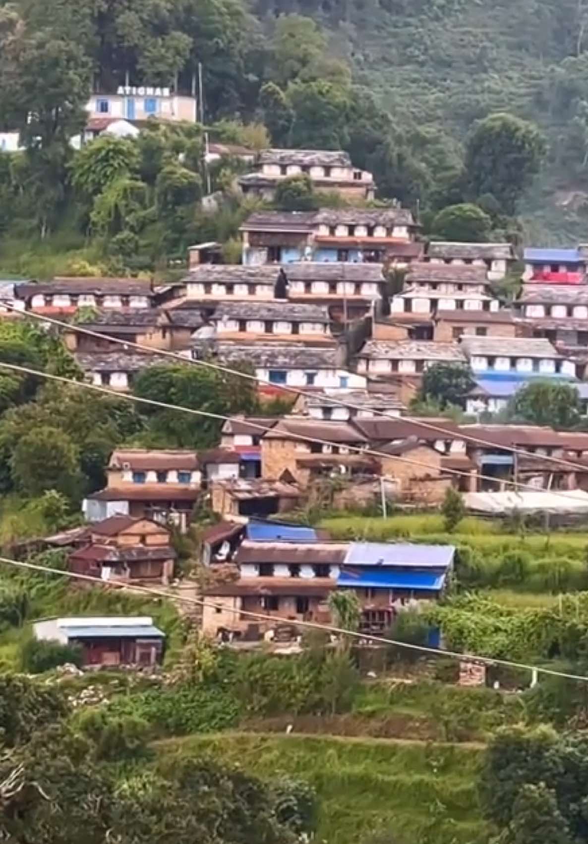 @स्वर्णकमल 🪷