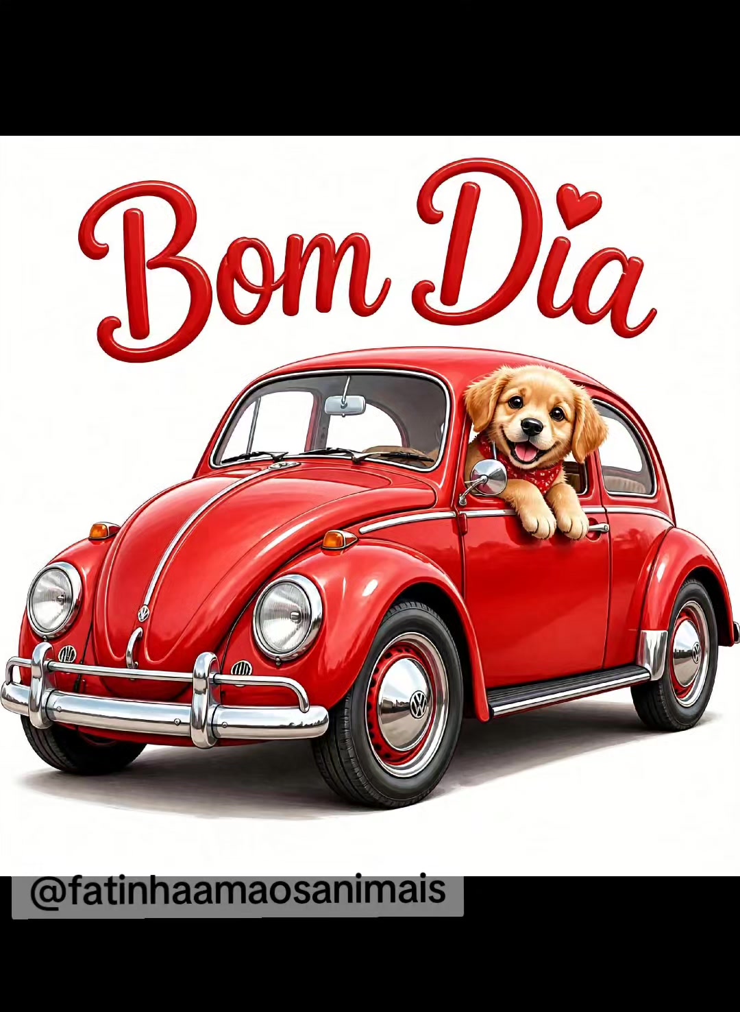 @Tropa da Fatinha🐶🐱🐎...