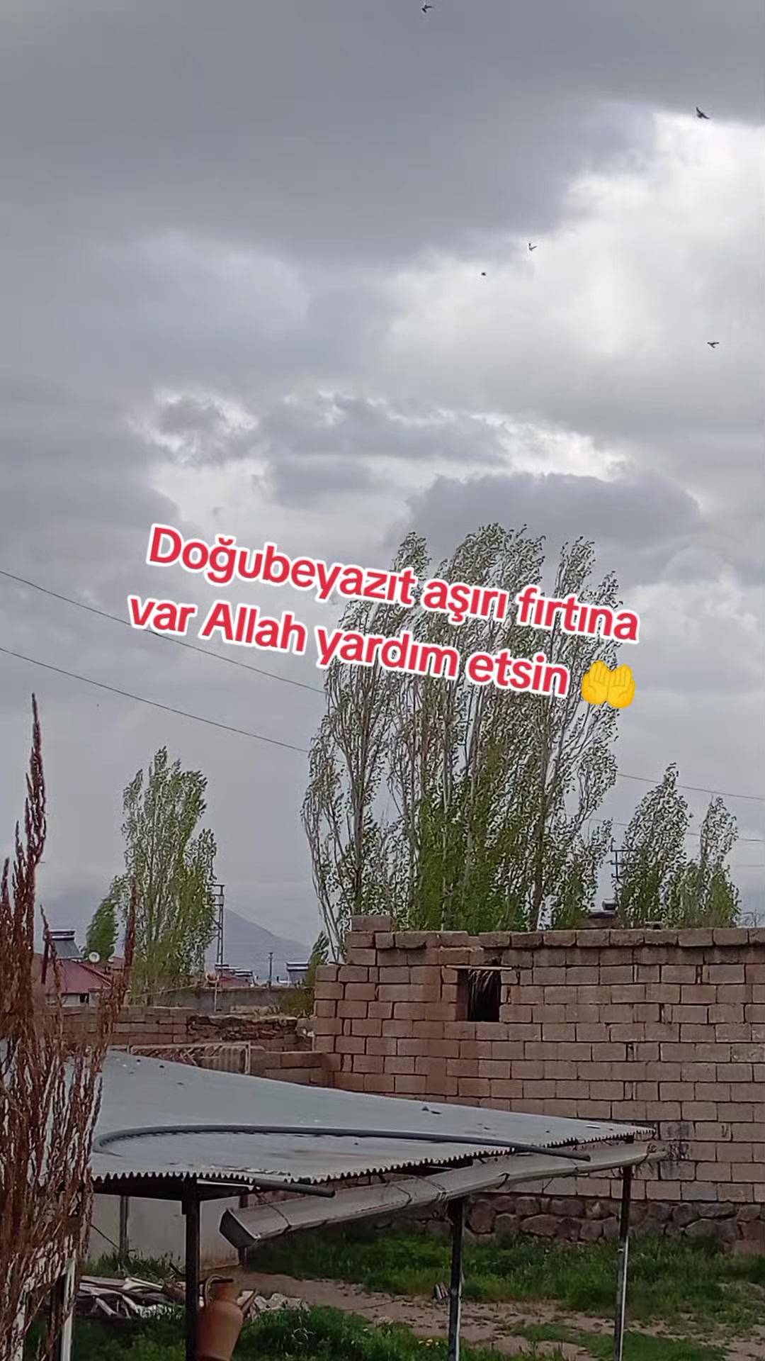 @bazidli adem04