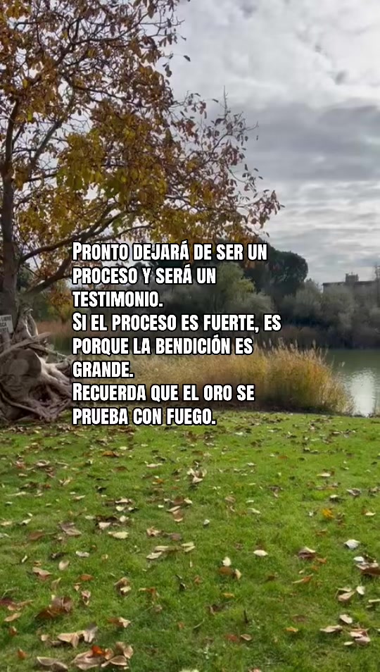 @Mar&iacute;a MH✨