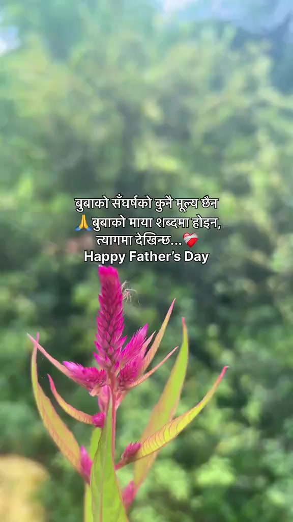@यादव_मिथलेश 🔥❤️