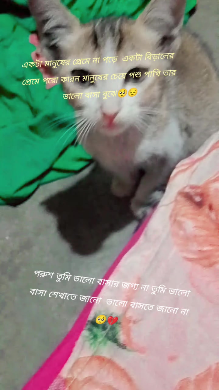 @মায়াবী রাজ কন্যা 🌺