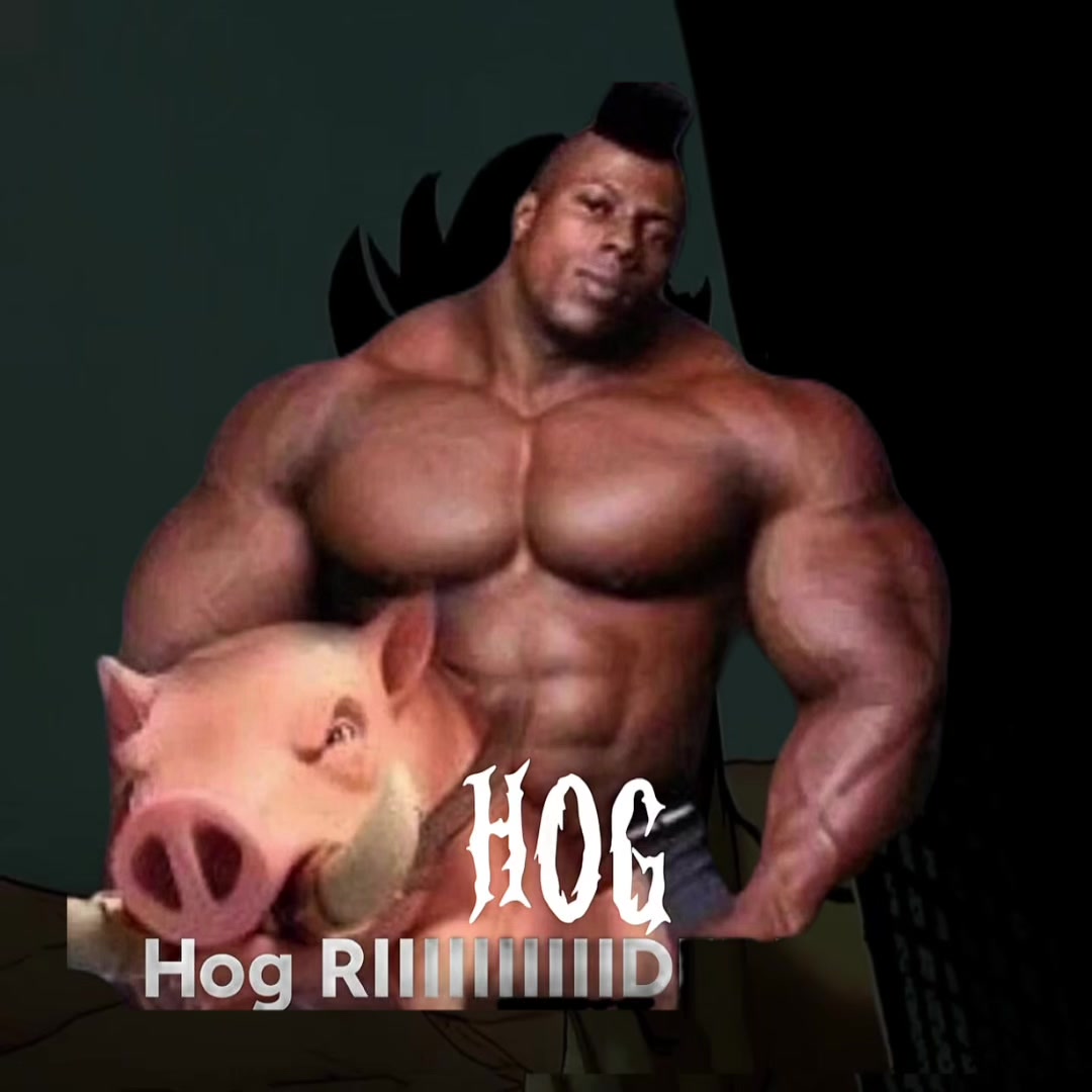 @HOG🇦🇿