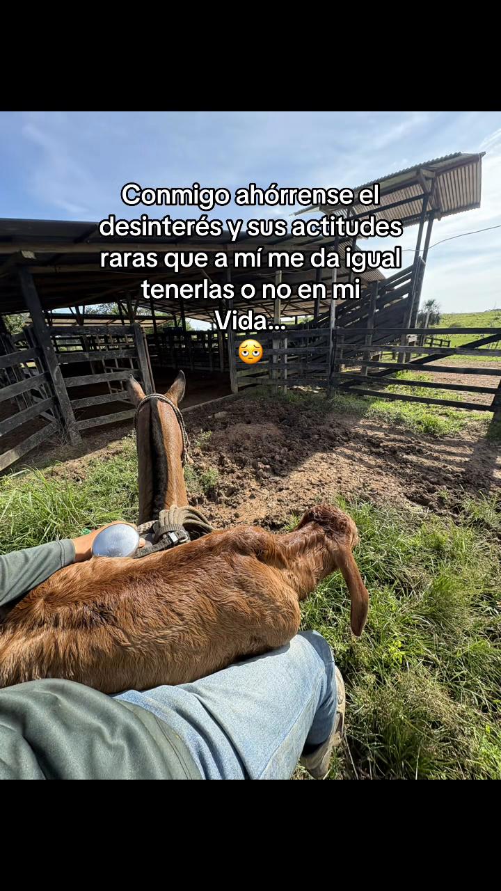 @Didier_🤠