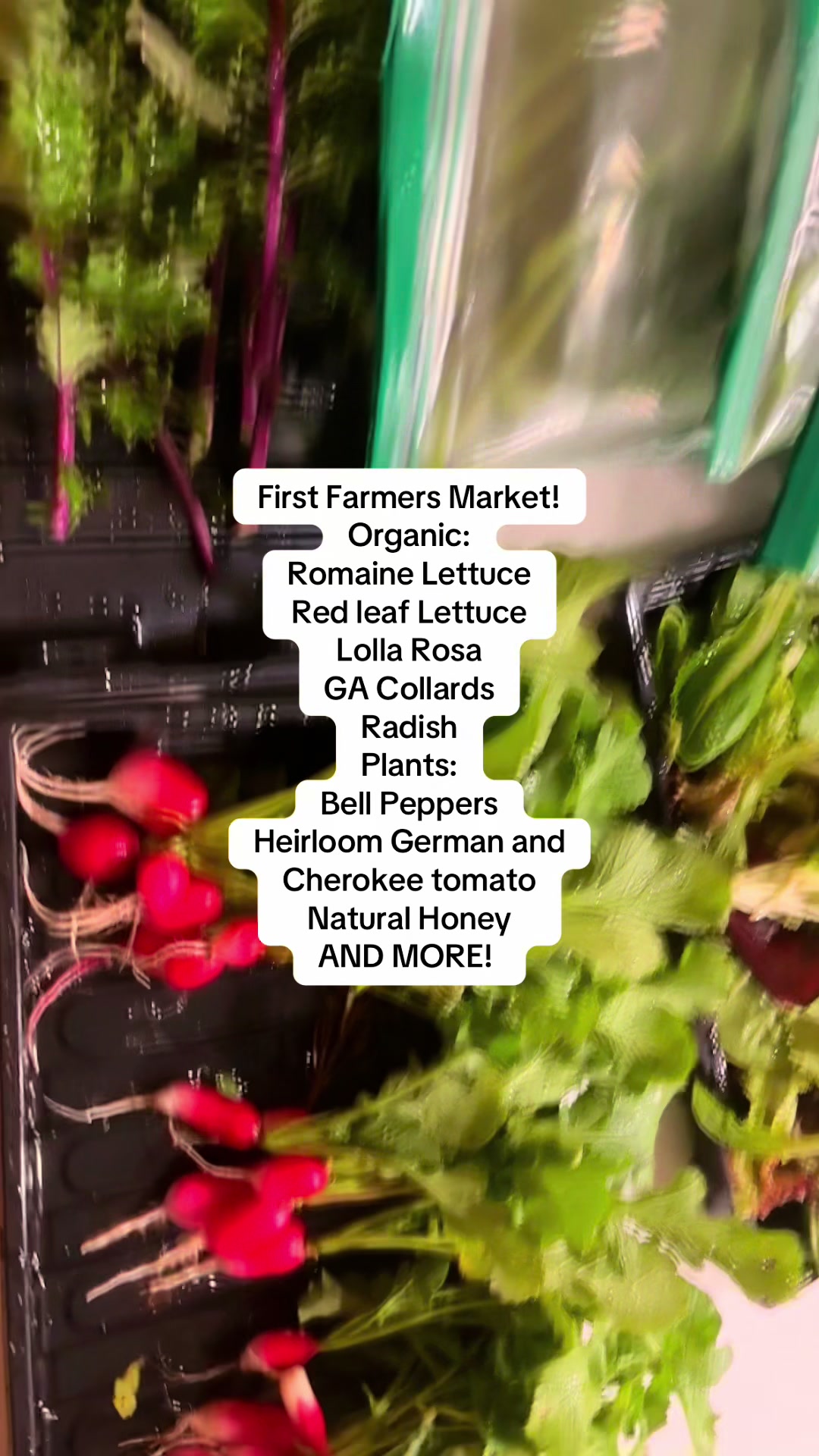 @greengirlgardens