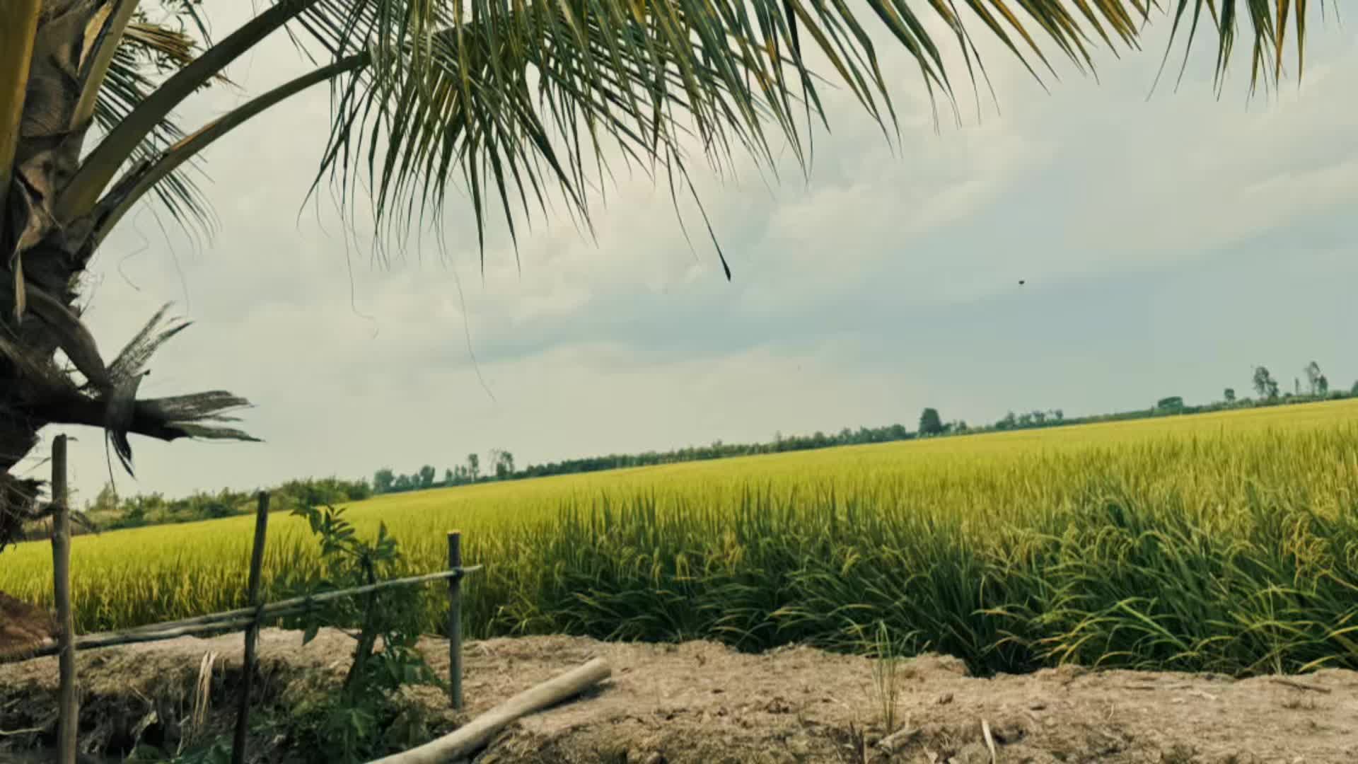 @Diên Diên
