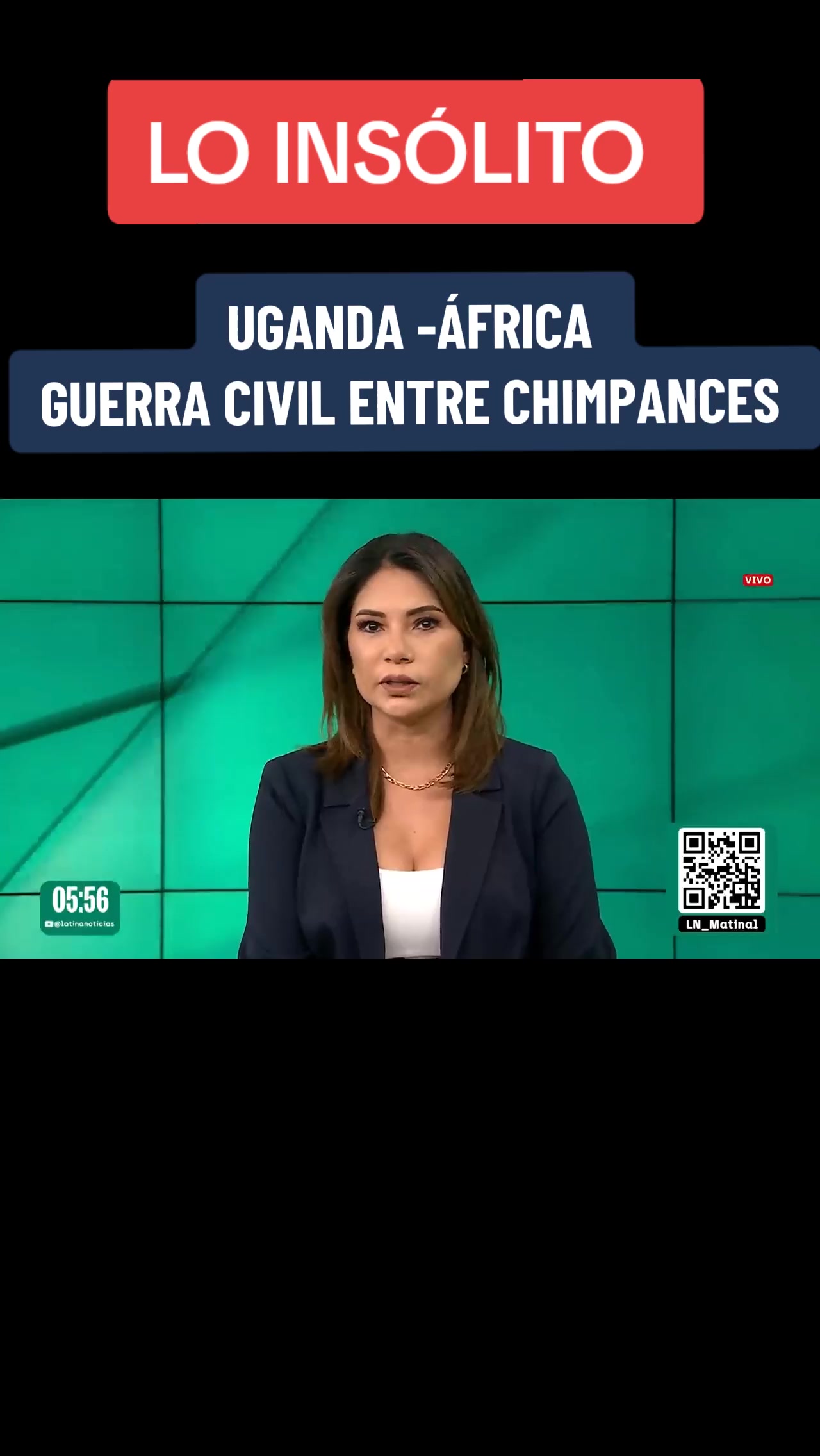 @Javier arte y misterio