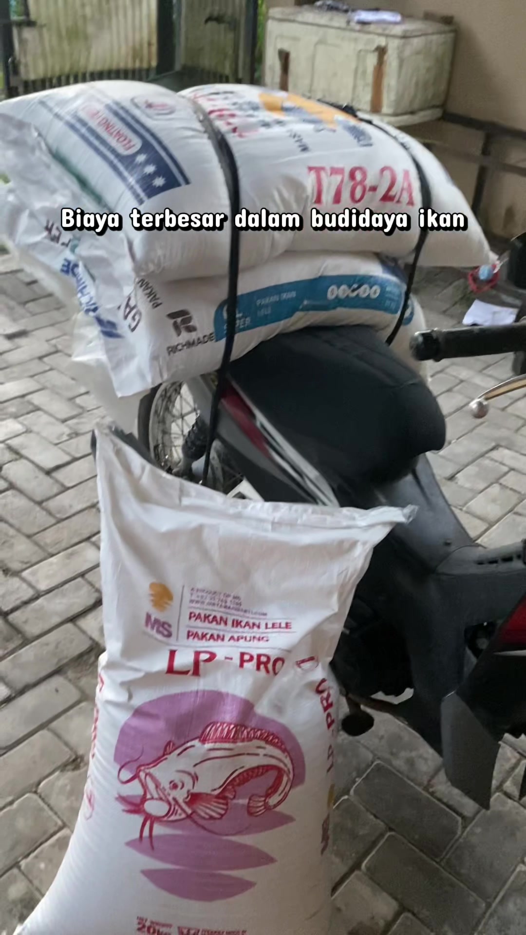 @NAMI TOKOKU