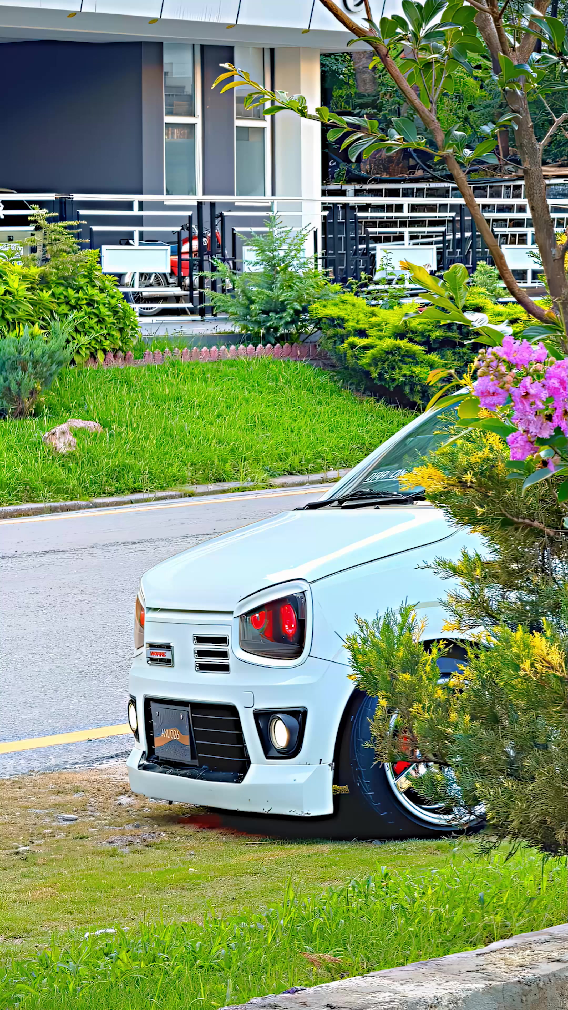 @𝔸𝕃𝕚ℤℤ_𝔸𝕃𝕋𝕆 👑