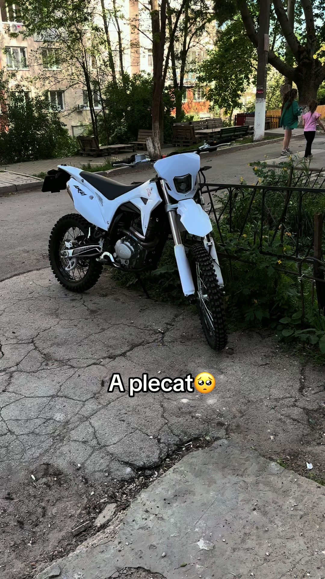 @🥷