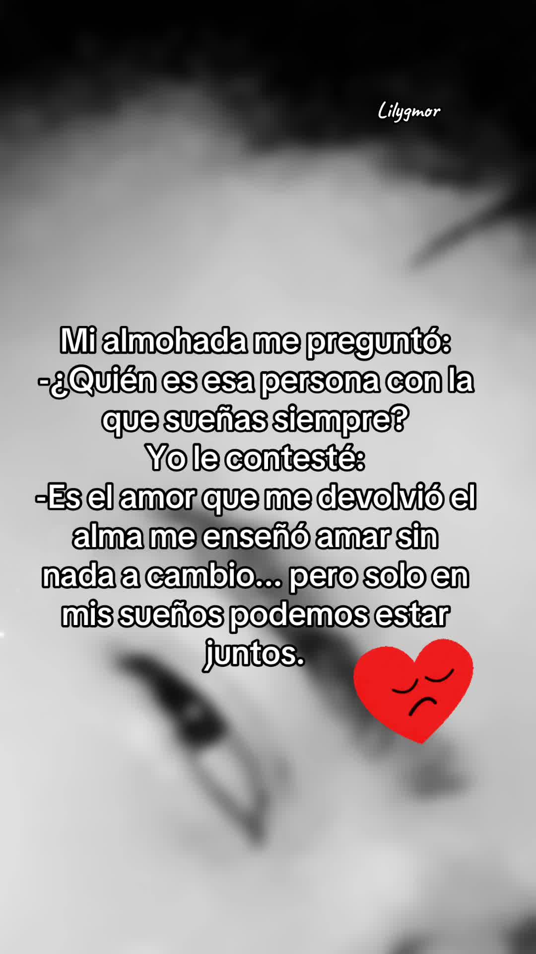 @NicaGmor🐾🇳🇮🐰🦁