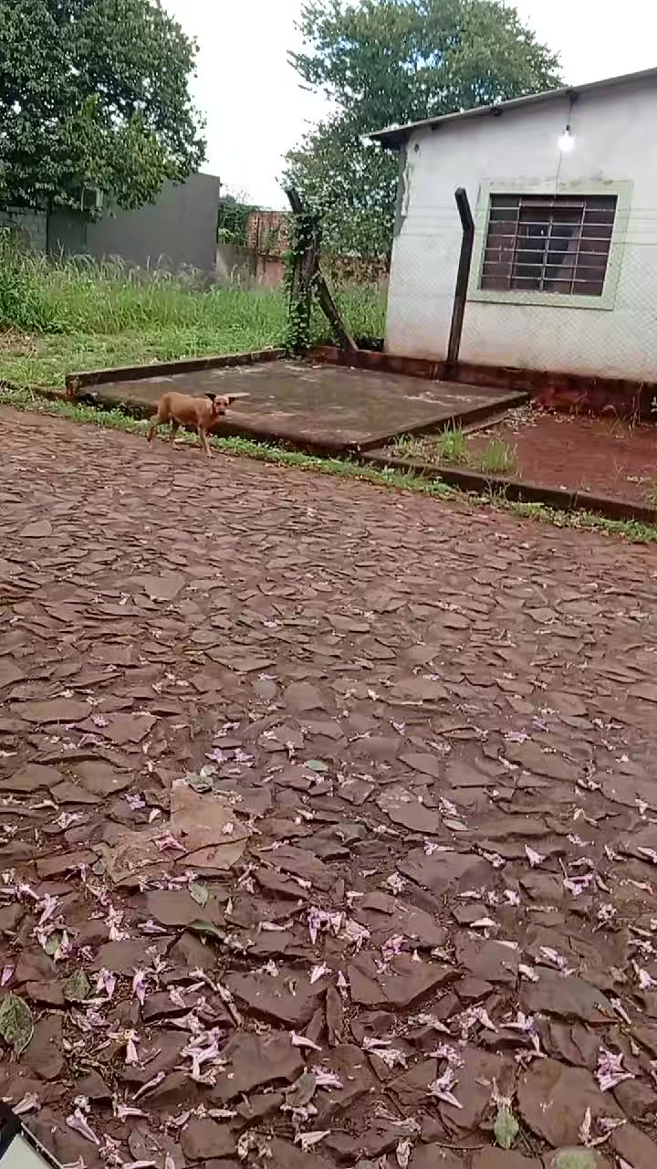 @FexonFz