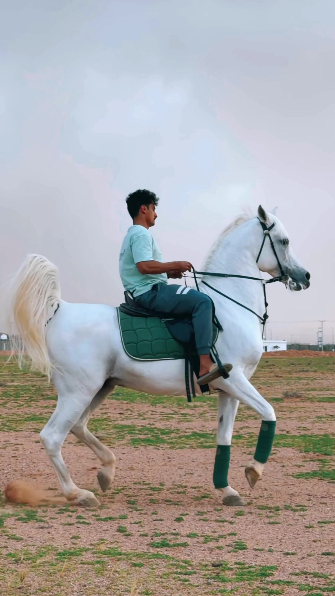 @عامر الشمري🐎