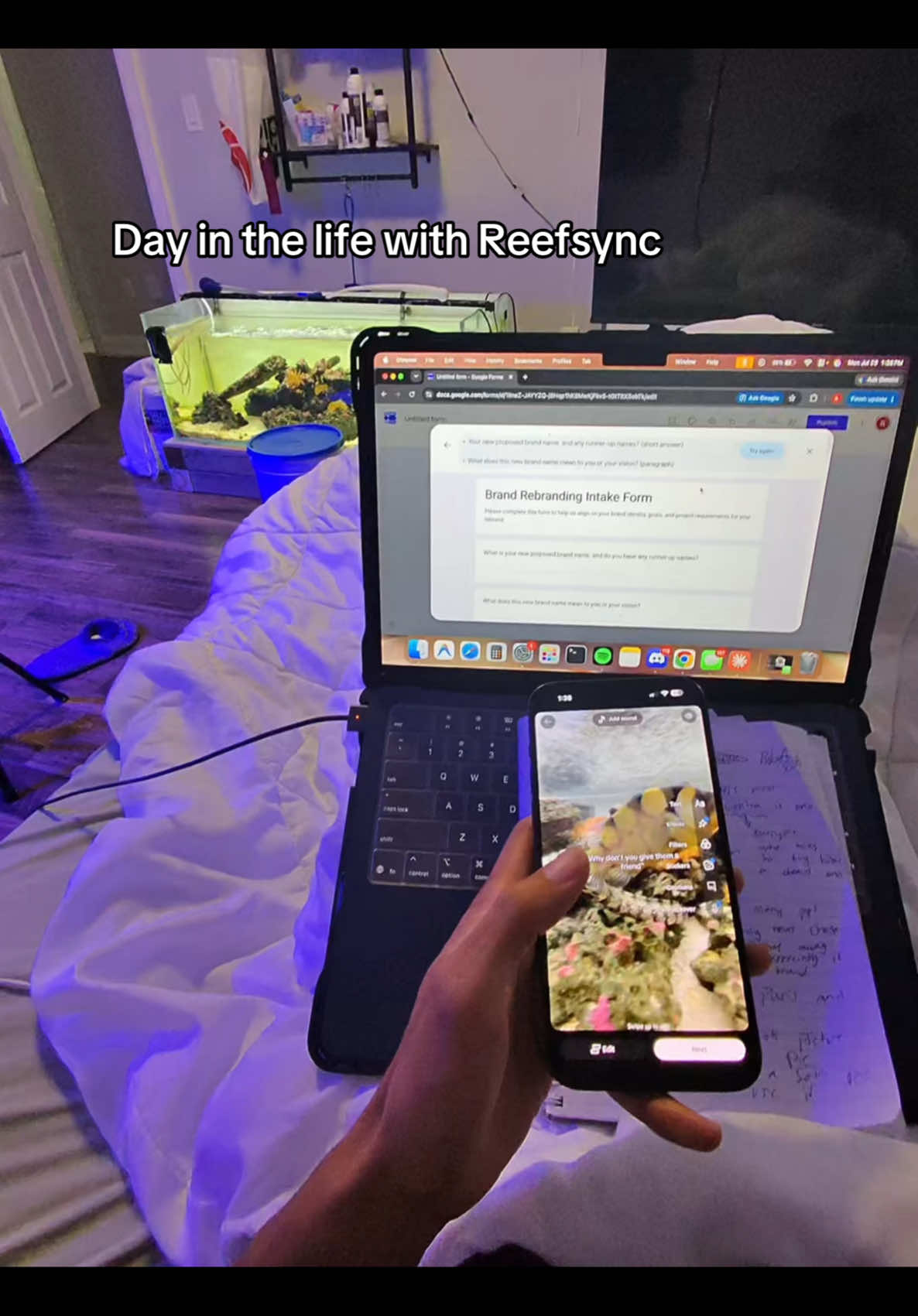 @ReefSync