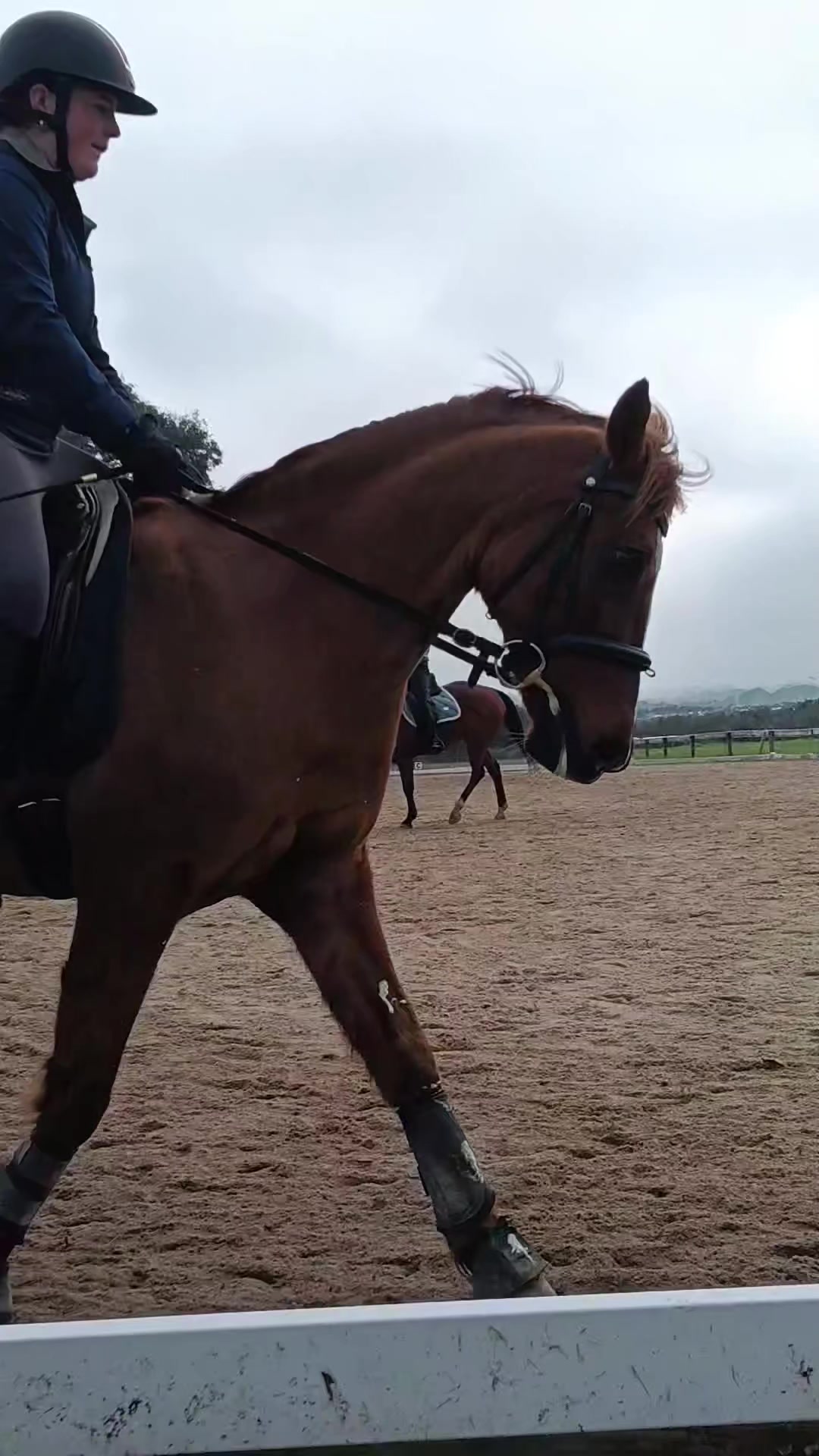 @Pip_equestruan9