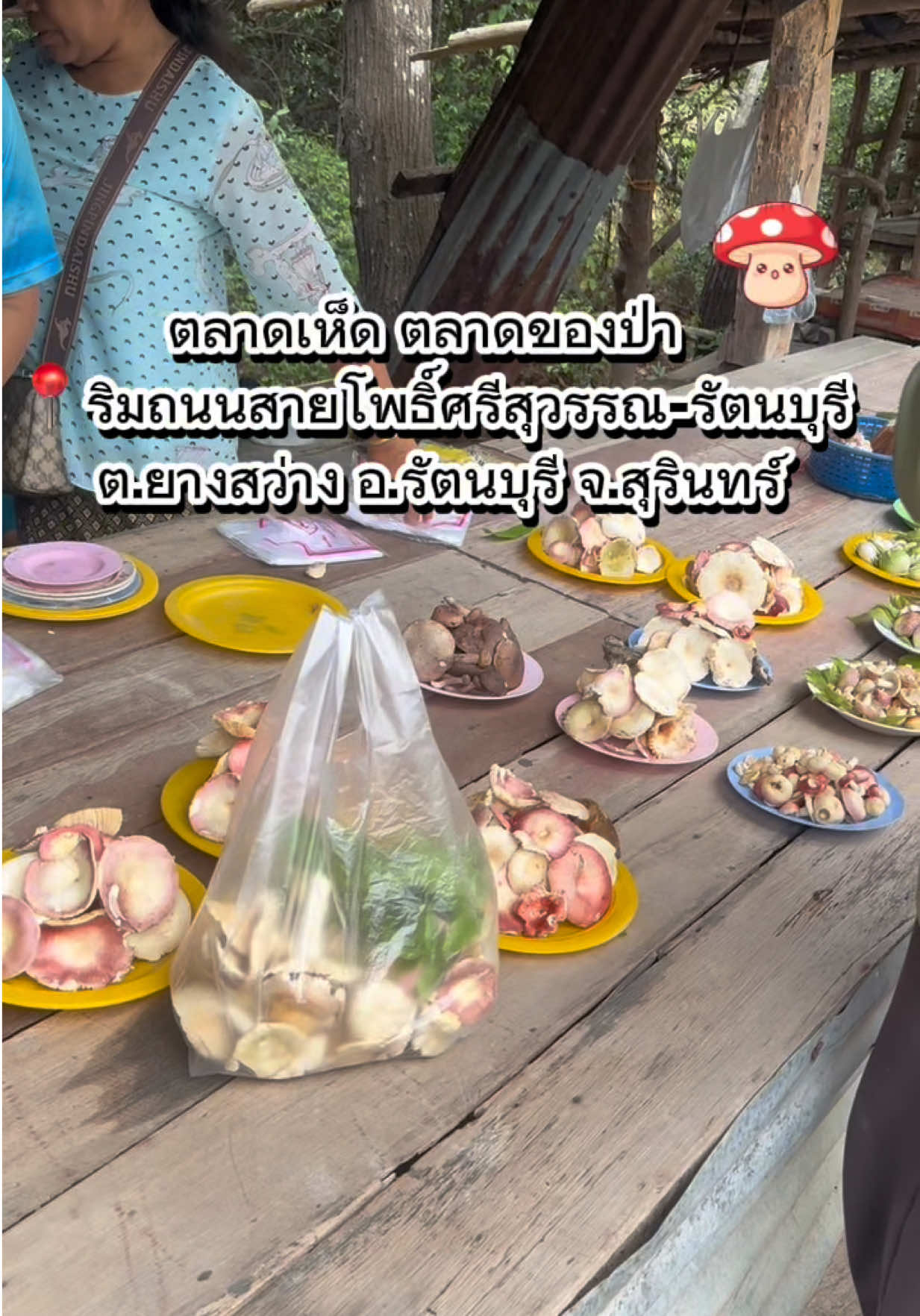 @เทศรุ่งเรืองวัสดุก่อ&การเกษตร