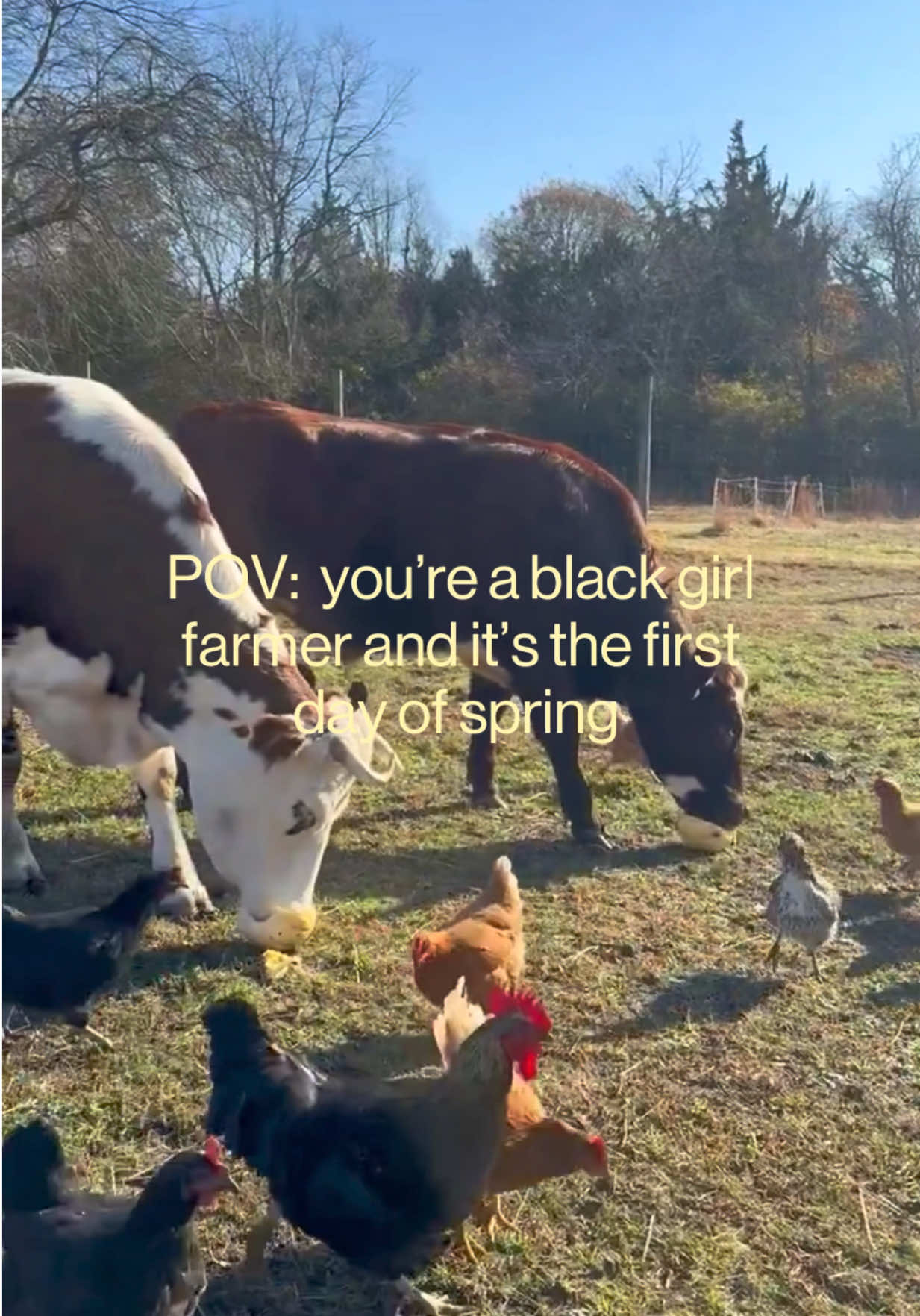 @Dominique Webb