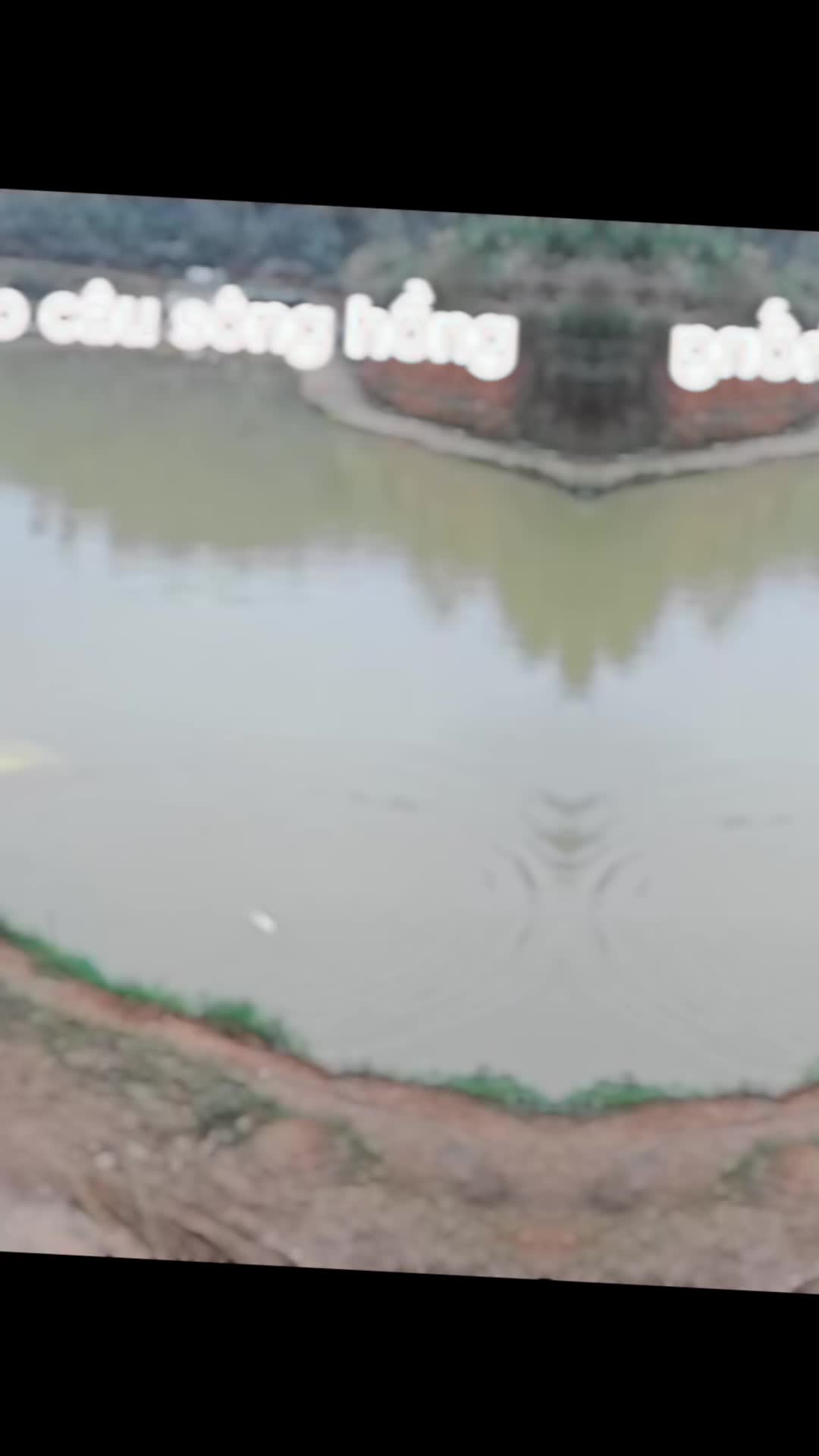 @Đồ câu nga hoàng