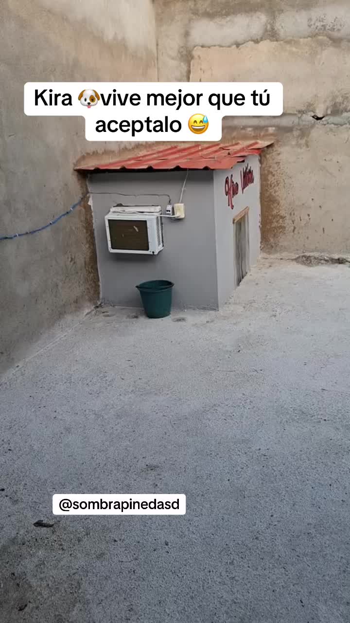 @SOMBRAᴾᴵᴺᴱᴰᴬSD