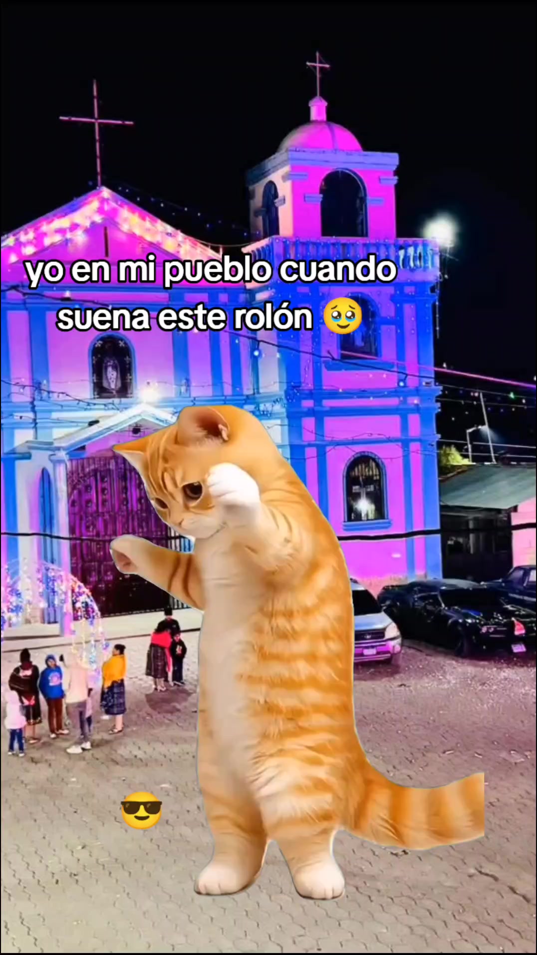 @🐬(MS).CACHORRO502 🇬🇹💚🇺🇸