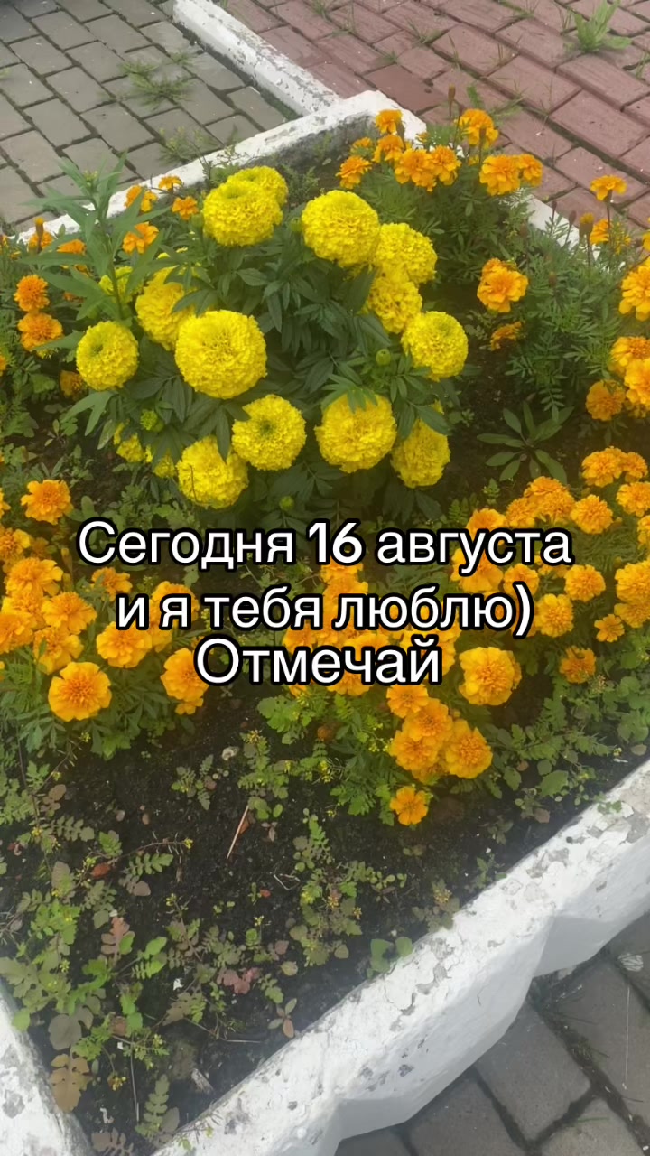@Данил